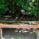 photo 2021-08-11 12-32-02