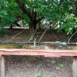 photo 2021-08-03 16-49-14