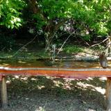 photo 2021-05-08 11-14-36