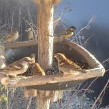 photo 2019-12-31 13-47-22