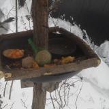 photo 2019-01-23 09-18-08