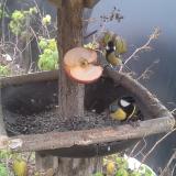 photo 2019-12-05 09-07-36