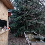 photo 2021-12-19 08-27-38