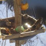 photo 2019-01-27 10-08-42