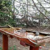 photo 2022-03-31 08-37-07