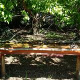 photo 2021-05-10 10-15-11