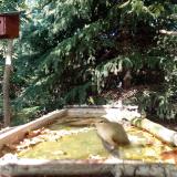 photo 2023-10-04 15-02-00