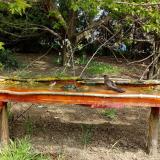 photo 2021-04-25 11-32-11