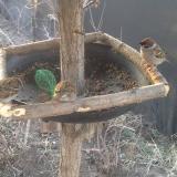 photo 2019-02-17 07-21-09