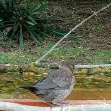 photo 2021-05-06 14-19-18 rigo