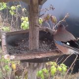 photo 2019-12-12 12-56-44