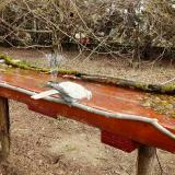 photo 2021-03-30 10-34-58