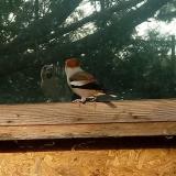 photo 2023-10-24 08-51-44 meggyvago