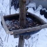 photo 2019-01-07 07-33-01