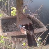 photo 2019-12-19 08-21-40