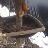 photo 2019-02-01 11-35-28