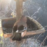 photo 2019-12-30 08-15-32