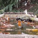 photo 2023-10-09 15-39-41