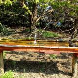 photo 2021-04-21 09-56-09