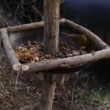 photo 2019-01-04 14-03-21