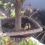 photo 2019-12-02 08-53-47