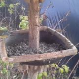 photo 2019-12-15 12-38-29