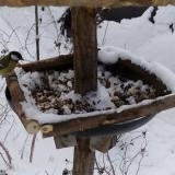 photo 2019-01-06 10-26-31