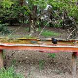 photo 2021-04-26 15-22-40