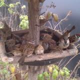 photo 2019-12-07 13-39-56