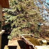 photo 2021-12-13 13-02-44