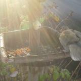 photo 2019-12-08 08-23-07