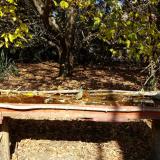 photo 2021-10-19 12-32-14