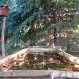 photo 2023-10-07 08-40-33