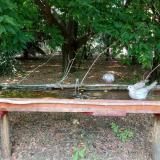 photo 2021-07-05 14-12-52