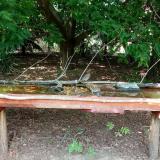 photo 2021-07-24 14-44-05