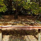 photo 2021-10-13 12-09-43