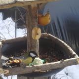 photo 2019-01-29 12-17-31