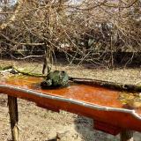 photo 2021-03-26 09-11-45