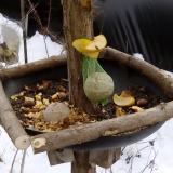 photo 2019-01-13 12-41-32