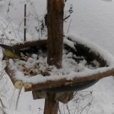 photo 2019-01-05 13-02-58