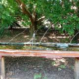 photo 2021-08-07 15-37-22