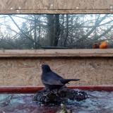 photo 2022-01-23 16-20-23