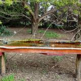 photo 2021-04-17 09-22-58