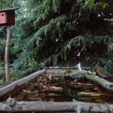 photo 2023-10-09 18-06-14