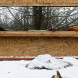 photo 2022-01-22 09-35-43