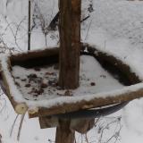 photo 2019-01-08 14-18-58