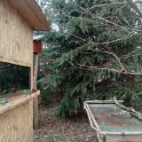 photo 2022-01-11 12-41-24