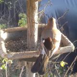 photo 2019-12-17 14-19-30