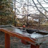 photo 2022-03-13 06-42-49