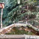 photo 2023-10-07 10-40-47